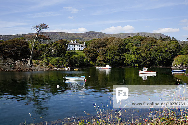 Im ruhigen Wasser vertäute Ruderboote mit einem großen weißen Haus am Ufer  in der Nähe von Castlecove; County Kerry  Irland
