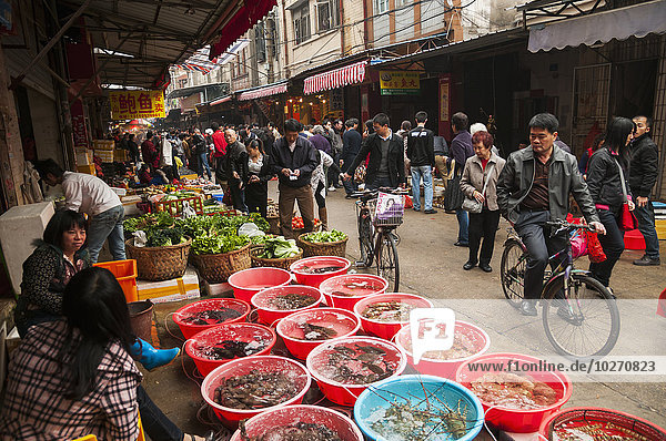 Bashi-Markt  achter Markt  ein traditioneller chinesischer Markt  auf dem wir alle Arten von Lebensmitteln finden können; Xiamen  Provinz Fujian  China