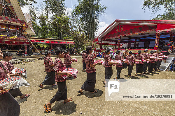 Frauen in einem formellen Trauerzug  genannt MaÆpassa Tedong  an einem Rante  dem zeremoniellen Ort für ein Torajan-Begräbnis  in Sereale  Toraja-Land  Süd-Sulawesi  Indonesien