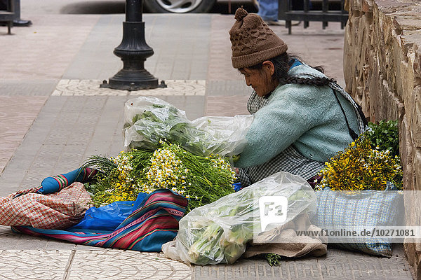 Blumenverkäufer  Cochabamba  Bolivien