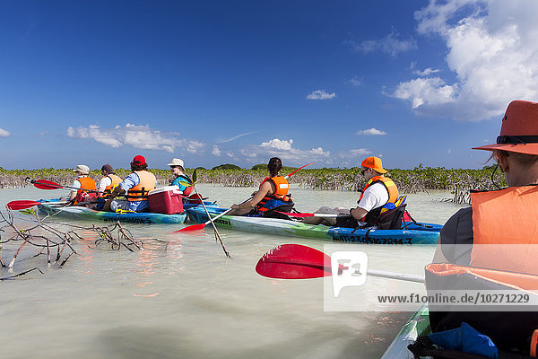 Gruppe von Doppelkajakfahrern schwimmt in der Magrove-Lagune mit blauem Himmel und Wolken; Tulum  Quintana Roo  Mexiko