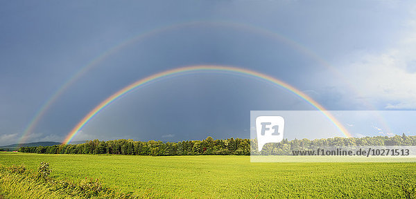 Doppelter Regenbogen über Bäumen und üppigem grünen Feld; Quebec  Kanada'.