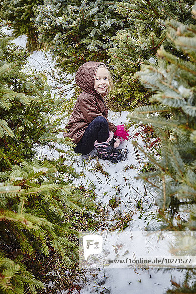 'Young girl in amongst the trees at a Christmas tree farm; Stoney Creek  Ontario  Canada'