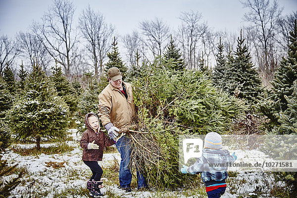 'Father and daughter carrying cut down Christmas tree from a Christmas tree farm; Stoney Creek  Ontario  Canada'