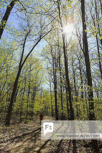 Mont-Saint-Bruno-Nationalpark  Region Monteregie; Quebec  Kanada'.