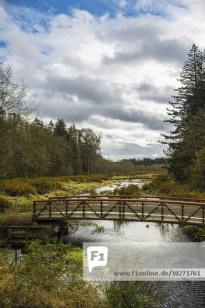 Der Campbell River fließt durch den Campbell Valley Regional Park; Langley  British Columbia  Kanada'.