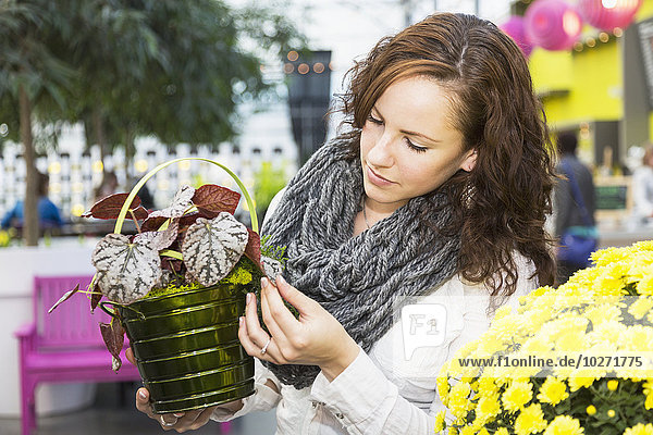 Junge Frau betrachtet Topfpflanzen in einem Gewächshausgeschäft im Einkaufszentrum; St. Albert  Albert  Kanada