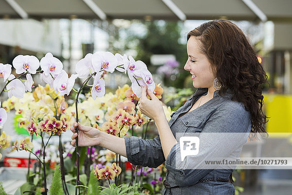 'Young woman looking at plants in indoor greenhouse; St. Albert  Alberta  Canada'