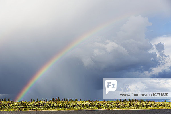 Regenbogen über dem Porcupine River im nördlichen Yukon  nahe Old Crow; Yukon  Kanada'.