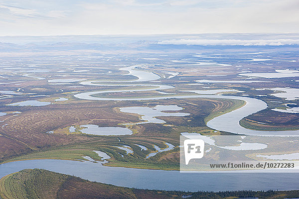 Luftaufnahme des Kobuk River Deltas und der umliegenden Feuchtgebiete  Kobuk  Arktisches Alaska  Sommer