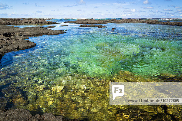 'Tropical green tidepool at Kapoho Coast; Island of Hawaii  Hawaii  United States of America'