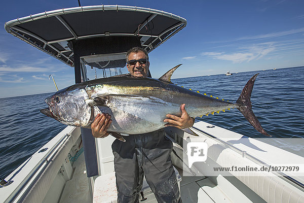 'Blue fin tuna caught off the Atlantic coast; Massachusetts  United States of America'