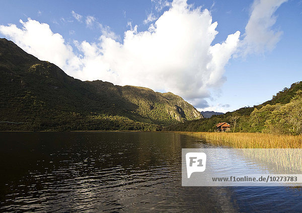 Llaviucu (Zorrocucho) Lagoon  Cajas National Park  Azuay  Ecuador