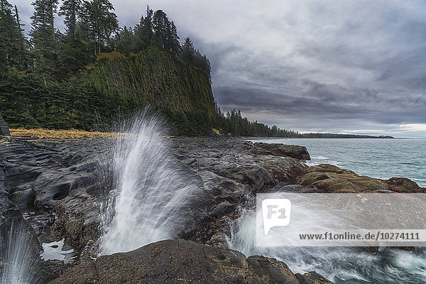 Wasser explodiert durch das Blasloch in der Nähe von Tow Hill an der Nordküste von Haida Gwaii  Naikoon Provincial Park; British Columbia  Kanada'.