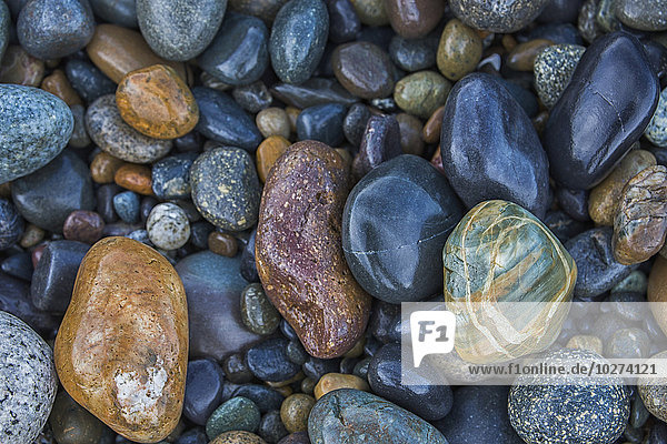 Mehrfarbige Felsen säumen die Küstenlinie am Agate Beach  Naikoon Provincial Park  Haida Gwaii; British Columbia  Kanada'.