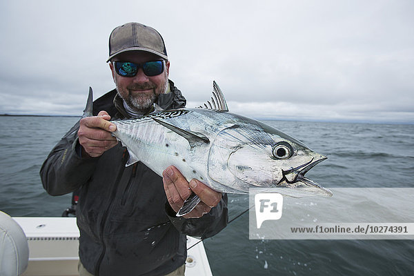 Fischer hält falschen Weißen Thun; Cape Cod  Massachusetts  Vereinigte Staaten von Amerika'.