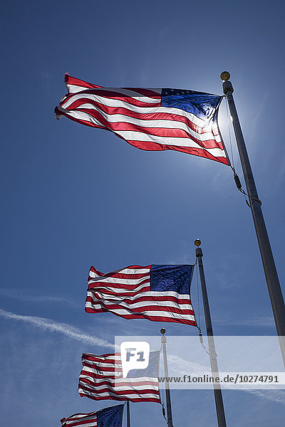 Amerikanische Flaggen in der Nähe des Washington Monuments; Washington  District of Columbia  Vereinigte Staaten von Amerika'.