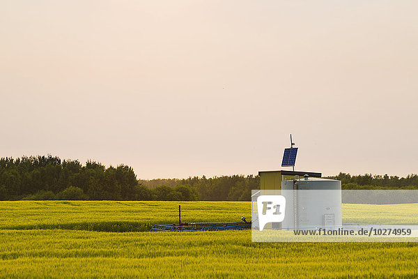 Ölfeld-Lagertank und Pumpstation der Pipeline im Rapsfeld; St. Albert  Alberta  Kanada'.