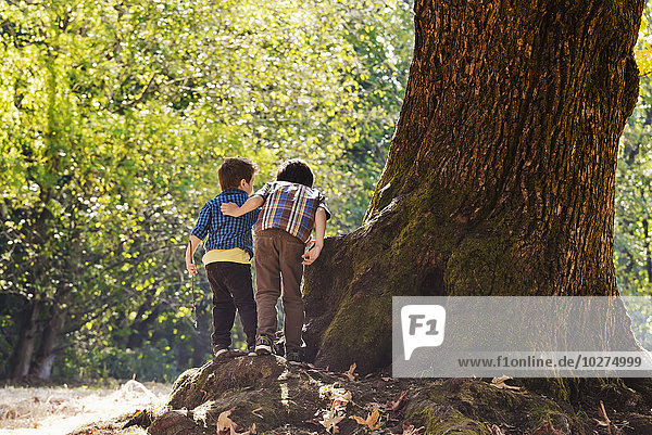 'Two young brothers exploring in a rainforest; Langley  British Columbia  Canada'