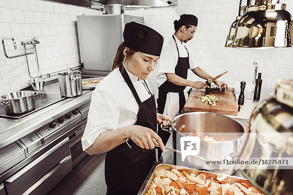 Multi-ethnic chefs preparing food in commercial kitchen