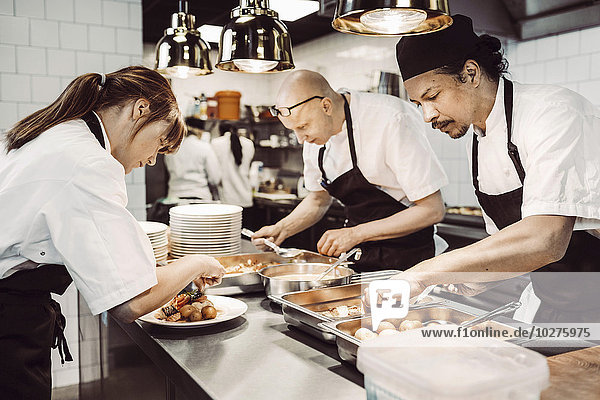 Male and female chefs preparing dishes in commercial kitchen