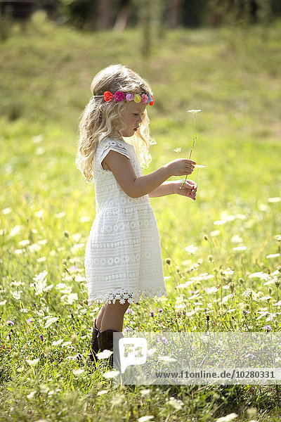 Niedliches Mädchen (4-5) im weißen Kleid auf einer Wiese stehend