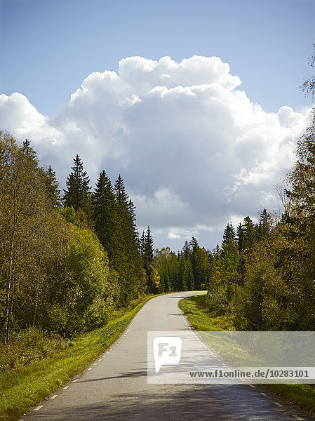 Country road