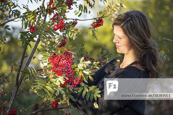 Woman looking at rowanberries