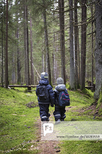 Kinder wandern im Wald