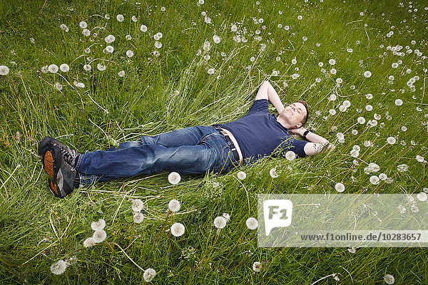 Smiling man lying on meadow