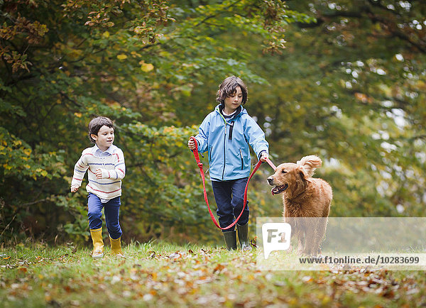 Jungen mit Hund gehen durch den Wald