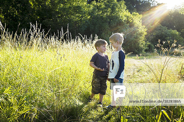 Boys on meadow