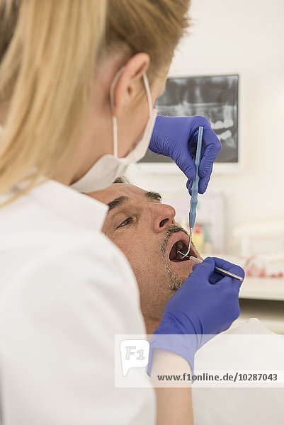 Female dentist examining patient  Munich  Bavaria  Germany