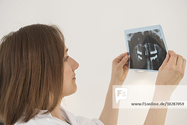Female dentist examining an X-ray report  Munich  Bavaria  Germany