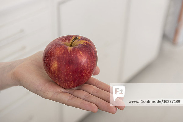 Nahaufnahme eines roten Apfels auf der Handfläche einer Frau  München  Bayern  Deutschland