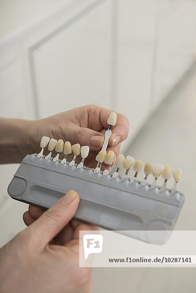 Zahnärztliche Hand zeigt ein Zahnmodell  München  Bayern  Deutschland