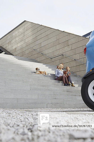 Drei Freunde sitzen auf einer Treppe mit Hund und benutzen ein digitales Tablet  München  Bayern  Deutschland