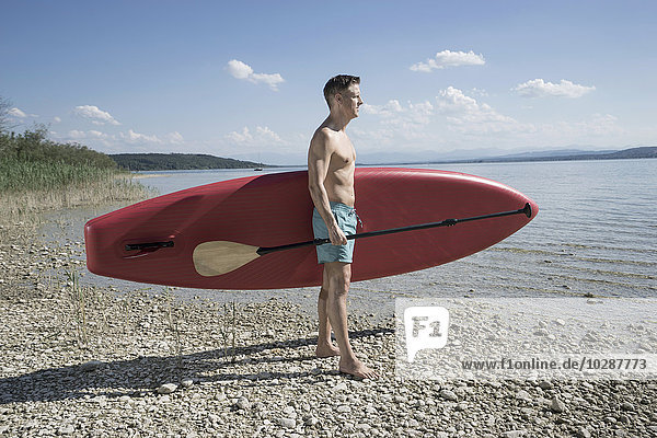 Mature man carrying paddleboard at lakeshore  Bavaria  Germany