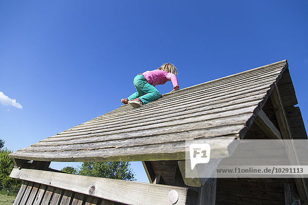 Mädchen klettert auf Holzhaus  Kiel  Schleswig-Holstein  Deutschland  Europa