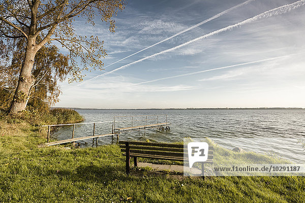 Park bench at shore  Wittensee  Schlewig-Holstein  Germany  Europe