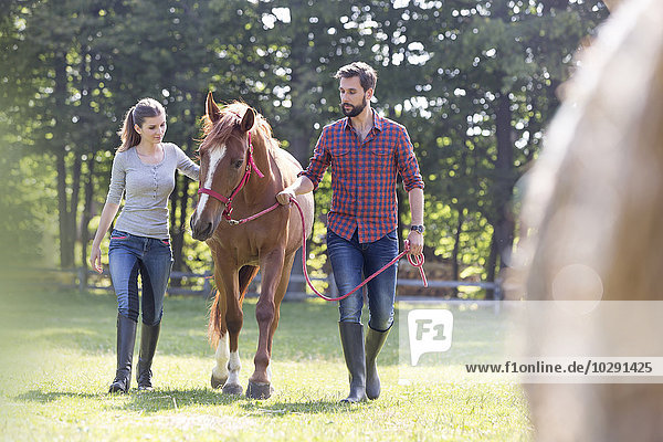 Couple walking horse in rural pasture