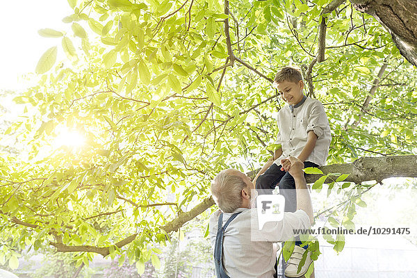 Grandfather helping grandson on tree branch