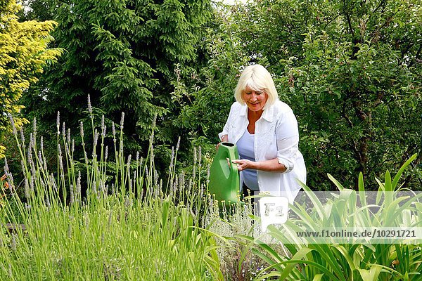 Seniorin Wasserpflanzen im Garten mit Gießkanne