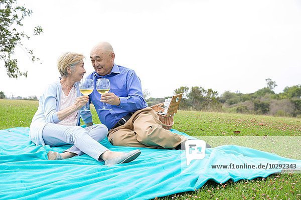 Seniorenpaar beim Picknick im Park mit Weingläsern