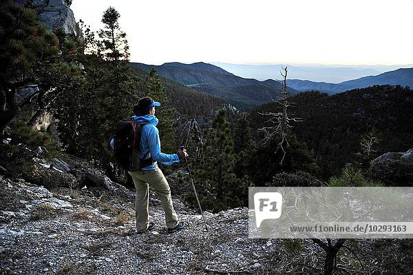Young woman hiking  Mount Charleston Wilderness trail  Nevada  USA