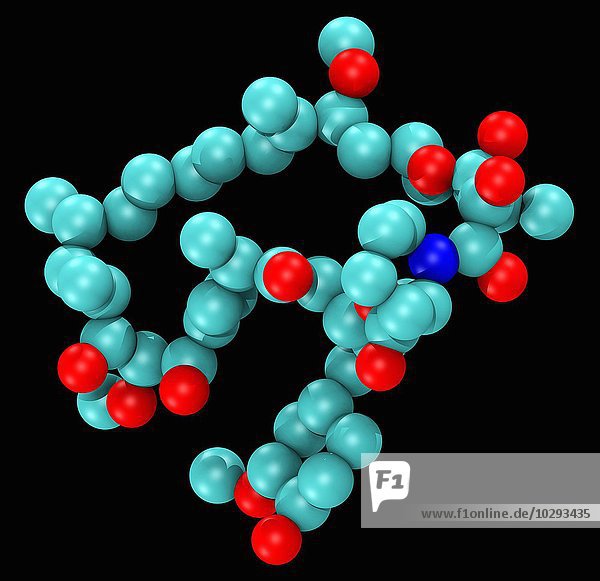 Computergeneriertes molekulares Modell von Sirolimus  auch bekannt als Rapamycin