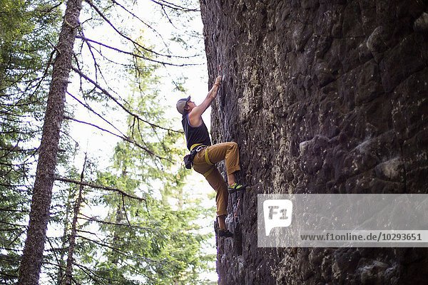 Man rock climbing  French's Dome  Zig Zag  Oregon  USA