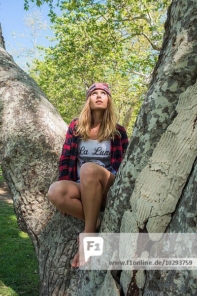 Frau auf Baumstamm sitzend  El Capitan  Kalifornien  USA
