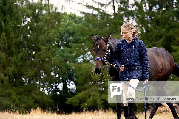 Mädchen führendes Pferd im Feld