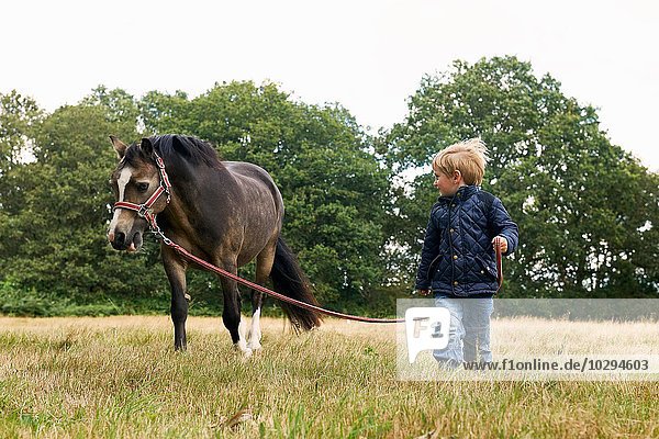 Kleiner Junge führendes Pony im Feld